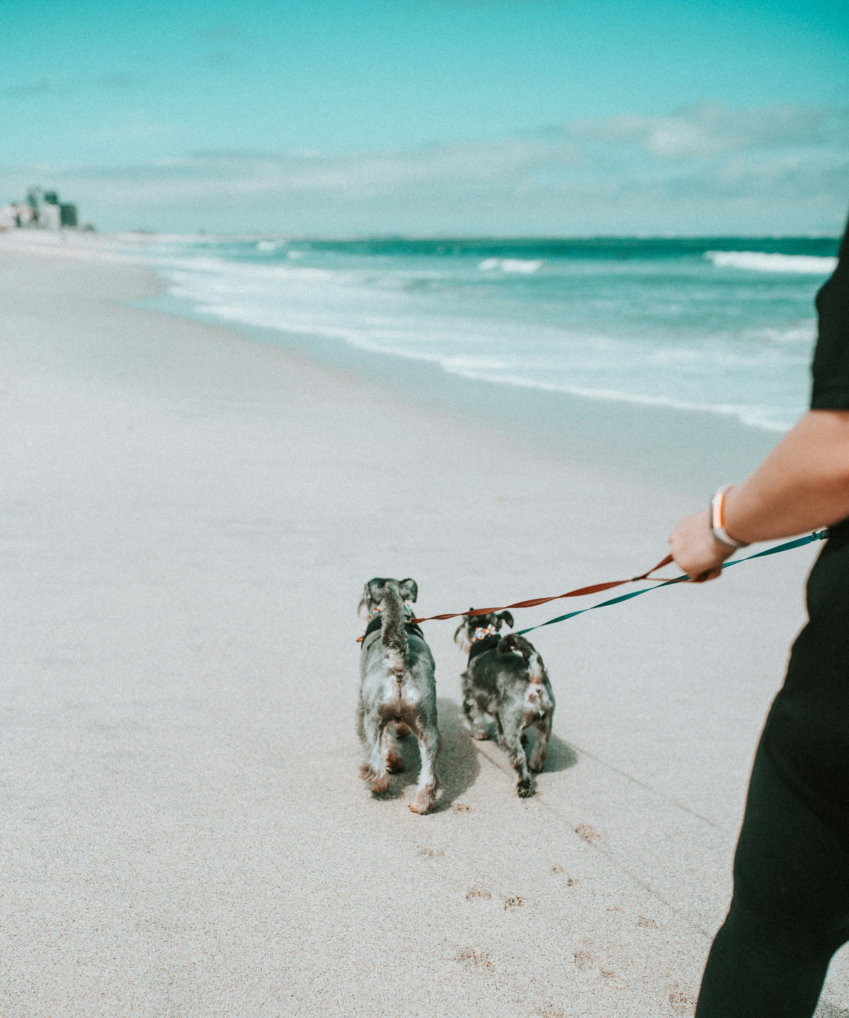 Paseo